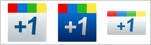 Google+ icon