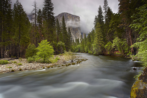 El Capitan Spring - Yosemite National Park, California