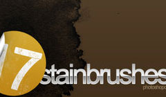 stainbrush2